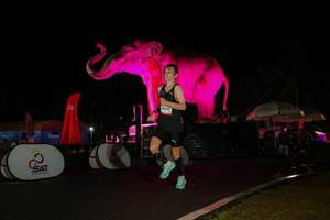 BIB: 
                            <button type="button" onclick="openModal(26543706)" class="btn btn-primary btn-sm float-right btn-popup" data-toggle="modal" data-target=".modal-high-quality">
                        <i class="fas fa-shopping-cart"></i> Add to Cart
                    </button>
                                            <button type="button" onclick="isThisMe(26543706, true)" class="btn btn-success btn-sm float-right btn-popup btn-isme hidden" data-toggle="tooltip" data-placement="bottom" title="นี่คือรูปของคุณใช่ไหม คลิกที่นี่เพื่อเอาเข้าอัลบั้ม">
                        <i class="fas fa-plus"></i> Add to album
                    </button>
                    <button type="button" onclick="isThisMe(26543706, false)" class="btn btn-warning btn-sm float-right btn-popup btn-isnotme hidden">
                        <i class="fas fa-ban"></i> Remove from album
                    </button>